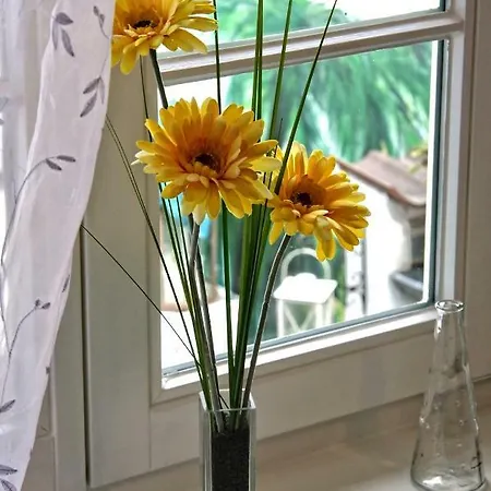 Apartment Köpi Goslar